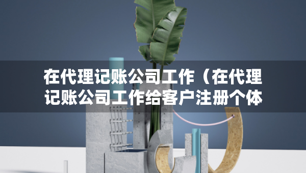 在代理記賬公司工作（在代理記賬公司工作給客戶注冊(cè)個(gè)體戶有影響嗎）