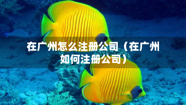 在廣州怎么注冊公司（在廣州如何注冊公司）