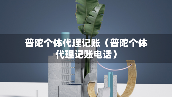 普陀個體代理記賬（普陀個體代理記賬電話）