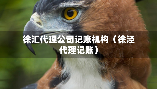 徐匯代理公司記賬機構(gòu)（徐涇代理記賬）