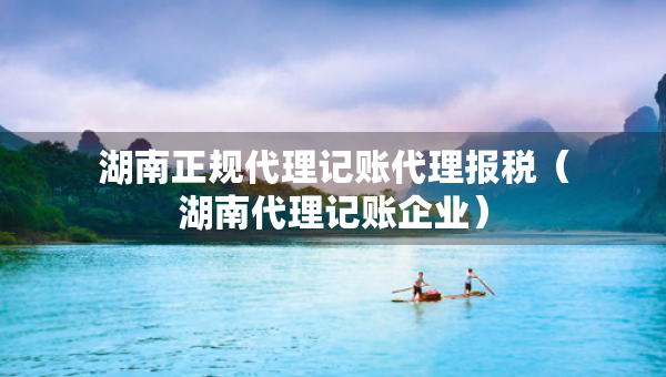 湖南正規(guī)代理記賬代理報稅（湖南代理記賬企業(yè)）