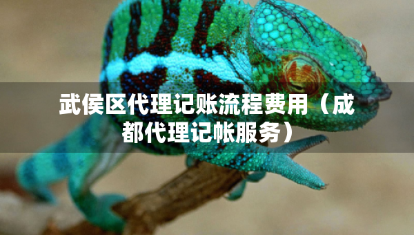 武侯區(qū)代理記賬流程費(fèi)用（成都代理記帳服務(wù)）