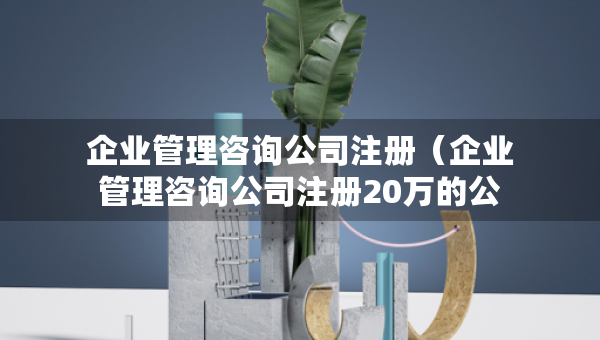 企業(yè)管理咨詢公司注冊(cè)（企業(yè)管理咨詢公司注冊(cè)20萬(wàn)的公司算小公司嗎）