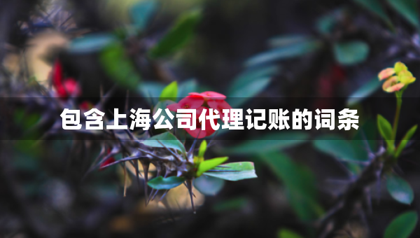 包含上海公司代理記賬的詞條