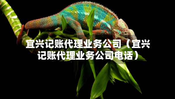 宜興記賬代理業(yè)務(wù)公司（宜興記賬代理業(yè)務(wù)公司電話）