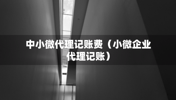 中小微代理記賬費（小微企業(yè)代理記賬）