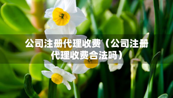 公司注冊(cè)代理收費(fèi)（公司注冊(cè)代理收費(fèi)合法嗎）