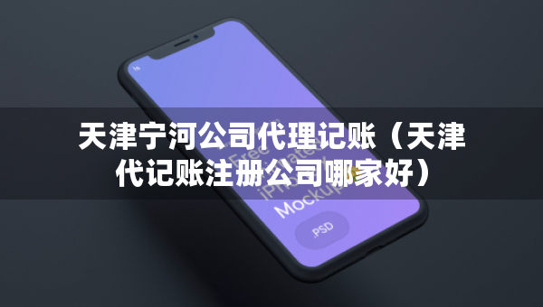 天津?qū)幒庸敬碛涃~（天津代記賬注冊(cè)公司哪家好）