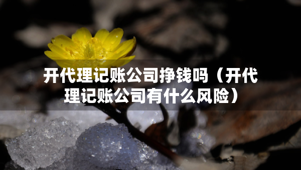 開代理記賬公司掙錢嗎（開代理記賬公司有什么風(fēng)險）