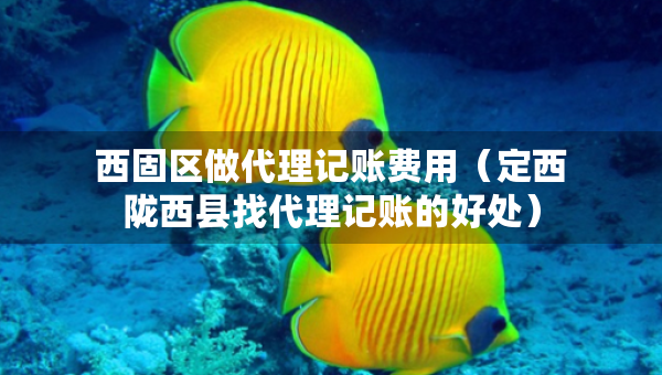 西固區(qū)做代理記賬費用（定西隴西縣找代理記賬的好處）
