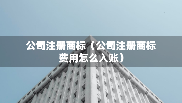 公司注冊(cè)商標(biāo)（公司注冊(cè)商標(biāo)費(fèi)用怎么入賬）