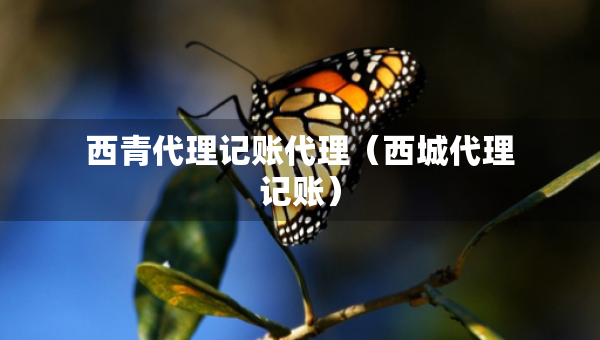 西青代理記賬代理（西城代理記賬）