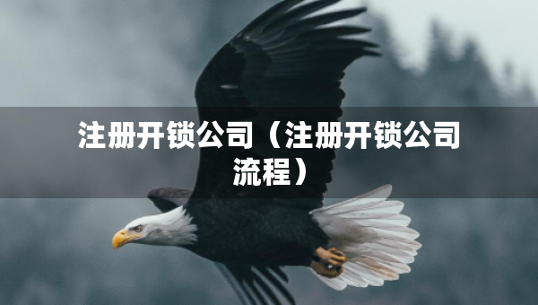 注冊(cè)開鎖公司（注冊(cè)開鎖公司流程）