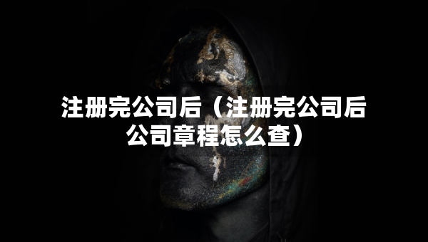 注冊完公司后（注冊完公司后公司章程怎么查）