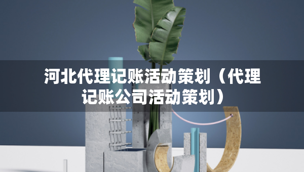河北代理記賬活動策劃（代理記賬公司活動策劃）