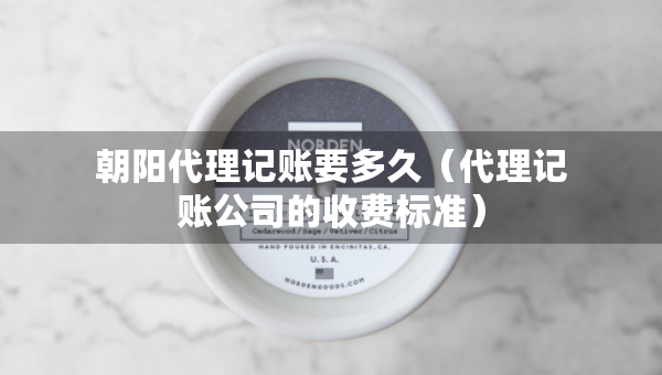 朝陽代理記賬要多久（代理記賬公司的收費標(biāo)準(zhǔn)）