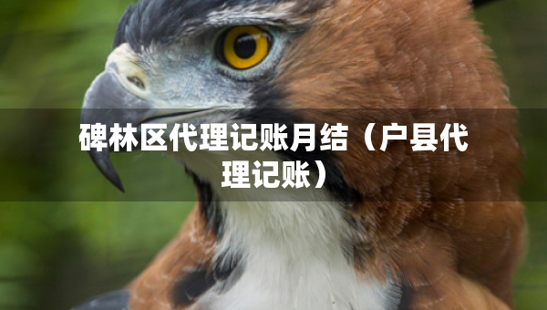 碑林區(qū)代理記賬月結(jié)（戶(hù)縣代理記賬）