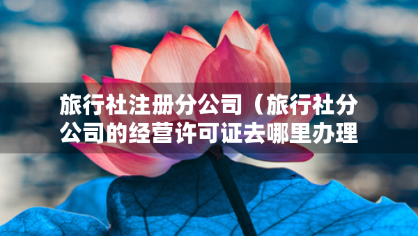 旅行社注冊(cè)分公司（旅行社分公司的經(jīng)營(yíng)許可證去哪里辦理）