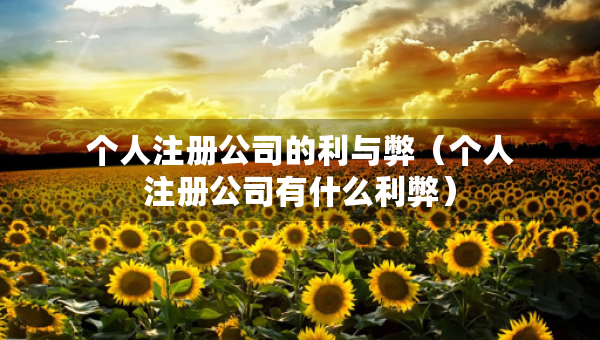 個(gè)人注冊(cè)公司的利與弊（個(gè)人注冊(cè)公司有什么利弊）