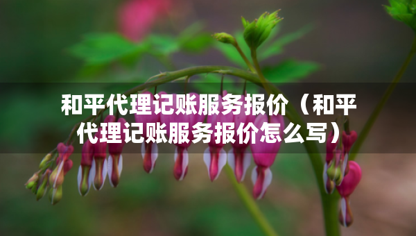 和平代理記賬服務(wù)報(bào)價(jià)（和平代理記賬服務(wù)報(bào)價(jià)怎么寫(xiě)）