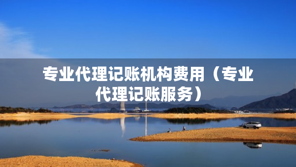 專業(yè)代理記賬機(jī)構(gòu)費用（專業(yè)代理記賬服務(wù)）