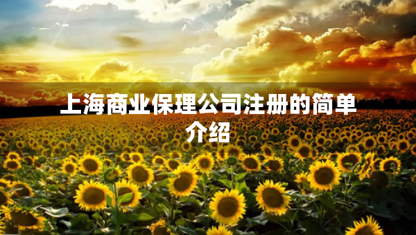 上海商業(yè)保理公司注冊(cè)的簡(jiǎn)單介紹