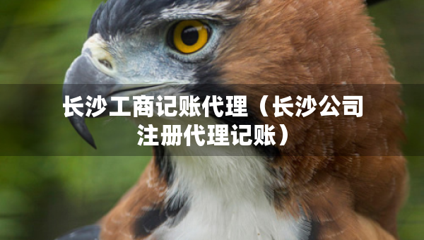 長(zhǎng)沙工商記賬代理（長(zhǎng)沙公司注冊(cè)代理記賬）