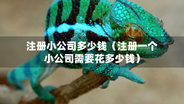 注冊(cè)小公司多少錢（注冊(cè)一個(gè)小公司需要花多少錢）