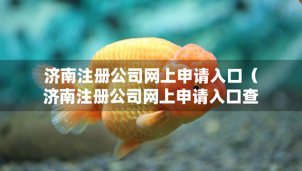 濟南注冊公司網上申請入口（濟南注冊公司網上申請入口查詢）