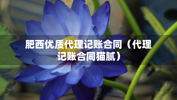 肥西優(yōu)質(zhì)代理記賬合同（代理記賬合同貓膩）