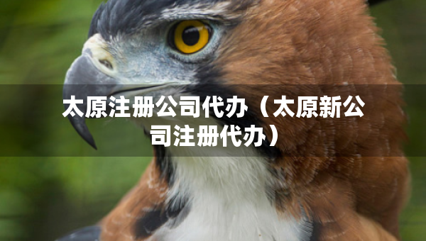 太原注冊公司代辦（太原新公司注冊代辦）