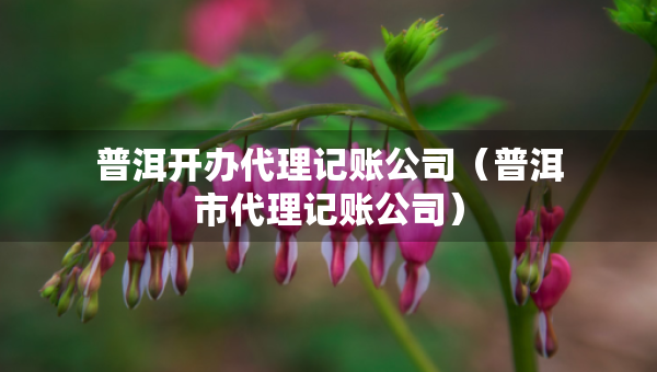普洱開辦代理記賬公司（普洱市代理記賬公司）