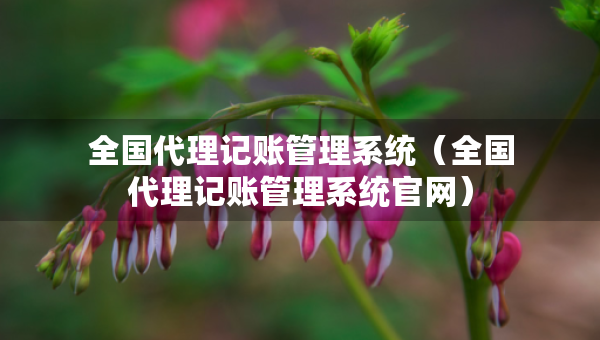 全國(guó)代理記賬管理系統(tǒng)（全國(guó)代理記賬管理系統(tǒng)官網(wǎng)）