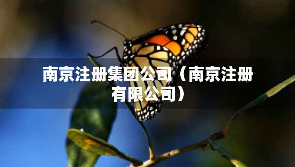 南京注冊集團公司（南京注冊有限公司）