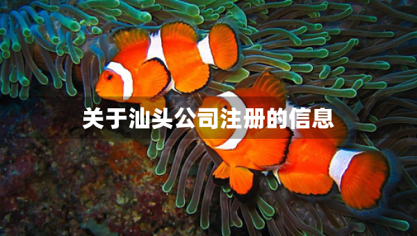關(guān)于汕頭公司注冊(cè)的信息