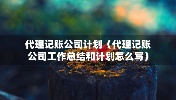代理記賬公司計劃（代理記賬公司工作總結和計劃怎么寫）