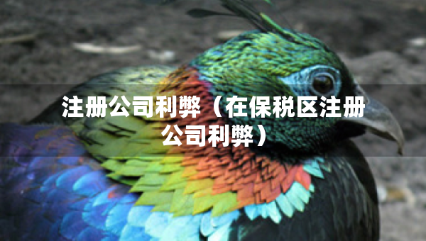 注冊(cè)公司利弊（在保稅區(qū)注冊(cè)公司利弊）