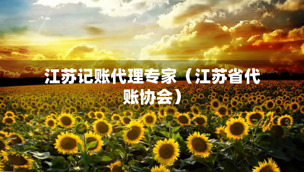 江蘇記賬代理專家（江蘇省代賬協(xié)會）