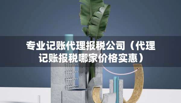 專業(yè)記賬代理報稅公司（代理記賬報稅哪家價格實惠）