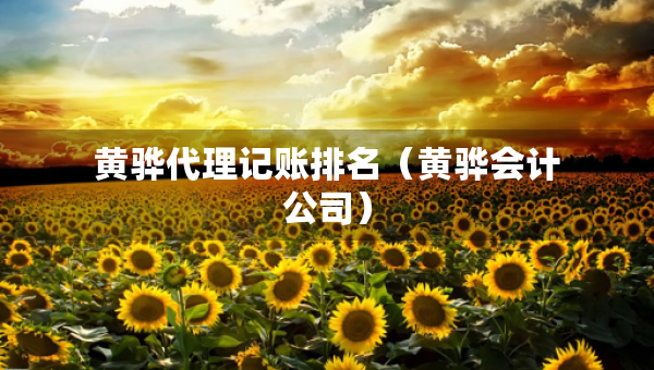 黃驊代理記賬排名（黃驊會(huì)計(jì)公司）