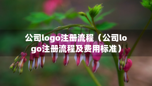 公司logo注冊流程（公司logo注冊流程及費用標準）