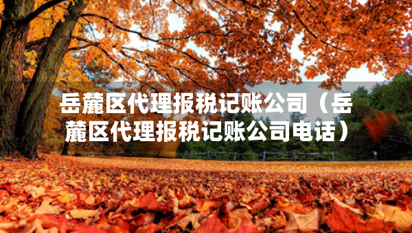 岳麓區(qū)代理報(bào)稅記賬公司（岳麓區(qū)代理報(bào)稅記賬公司電話(huà)）