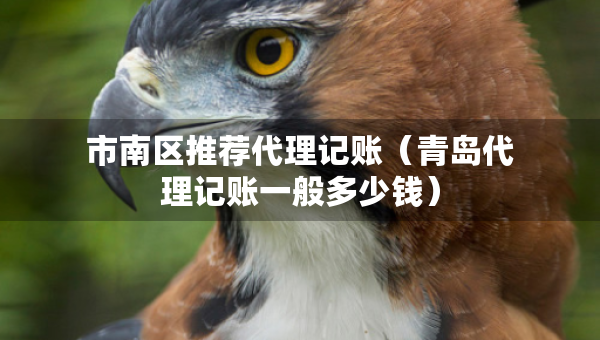 市南區(qū)推薦代理記賬（青島代理記賬一般多少錢）