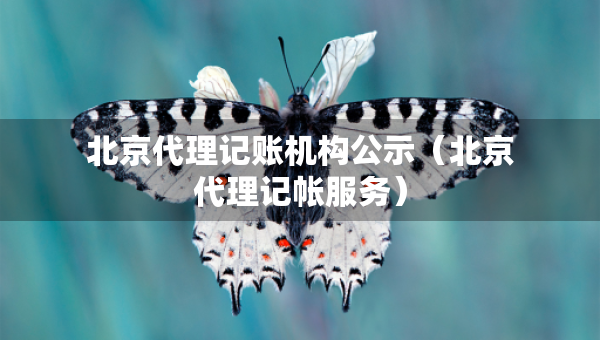 北京代理記賬機構(gòu)公示（北京代理記帳服務(wù)）
