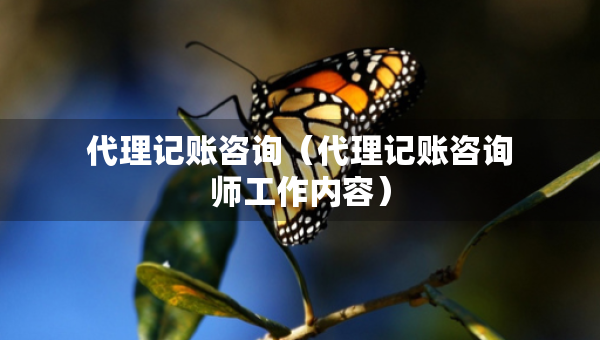 代理記賬咨詢（代理記賬咨詢師工作內(nèi)容）