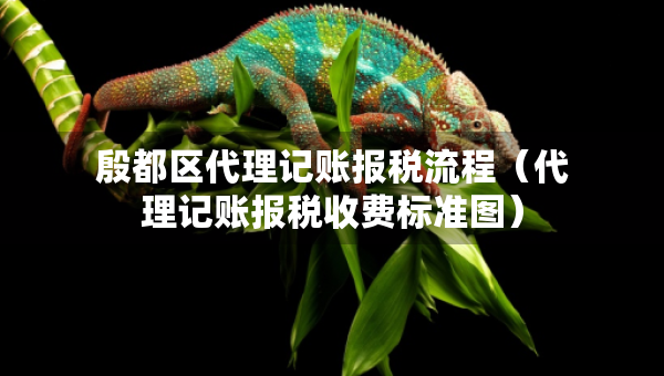 殷都區(qū)代理記賬報(bào)稅流程（代理記賬報(bào)稅收費(fèi)標(biāo)準(zhǔn)圖）