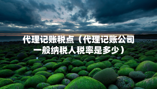 代理記賬稅點(diǎn)（代理記賬公司一般納稅人稅率是多少）