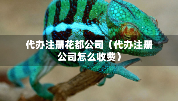 代辦注冊花都公司（代辦注冊公司怎么收費(fèi)）