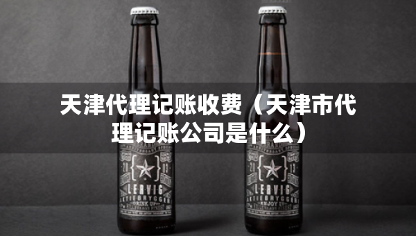 天津代理記賬收費(fèi)（天津市代理記賬公司是什么）