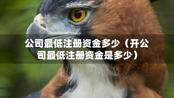 公司最低注冊資金多少（開公司最低注冊資金是多少）